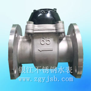 DN65����ʽ���P�ˮ��